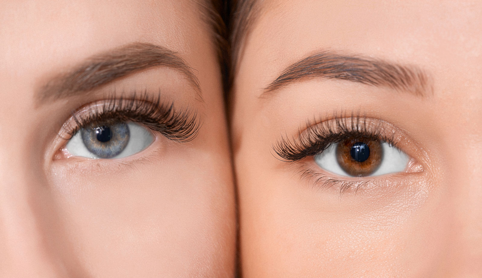 Powder Brows: schattierte Augenbrauen bei zwei Frauen.